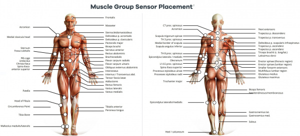 Click here to open the MyoWare 2.0 Muscle Sensor Advanced Guide for a closer look! Muscle Group Sensor Placement
