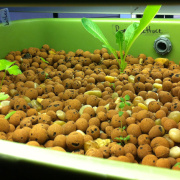 Enginursday: Time-lapse with the Raspberry Pi