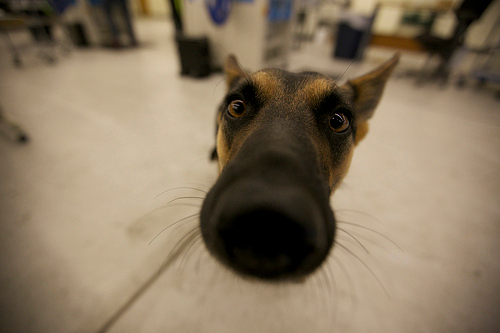 Cora, who comes to work with Tony in Production, learns how a camera lens smells