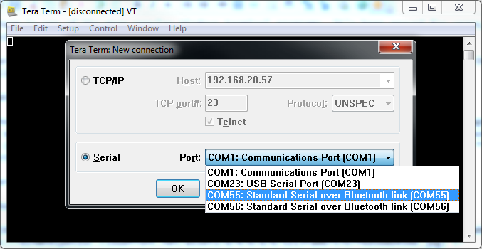 teraterm script serial port