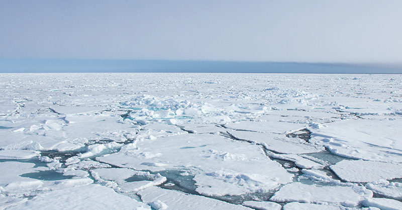 Tracking Sea Ice