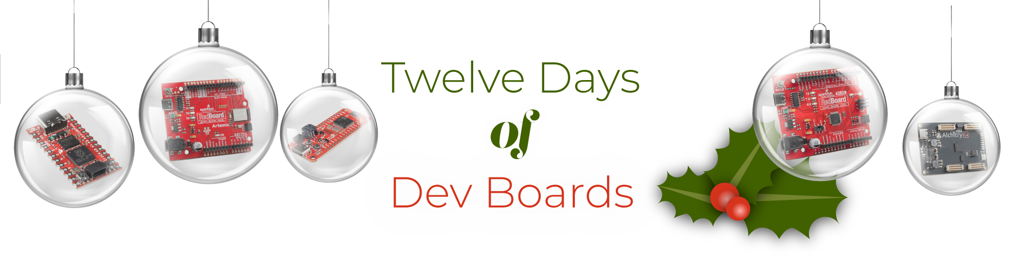12 Days of Dev Boards Sale