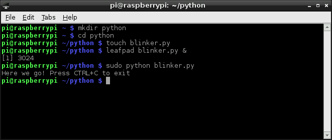 Example python terminal