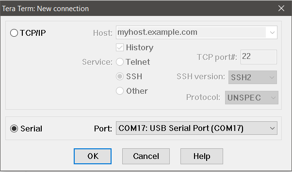 TeraTerm window asking for connection information
