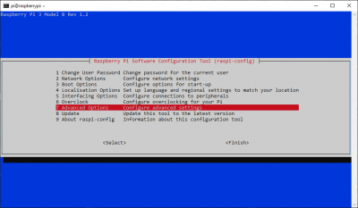 raspi-config advanced options menu