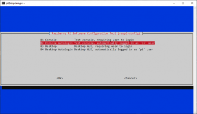 raspi-config Console Autologin option