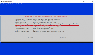 raspi-config interface menu