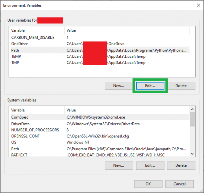 opening the path system variable window