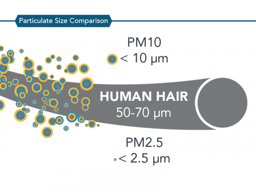 A chart showing the relative size differences in PM2.5 and PM10 compared to a piece of human hair.