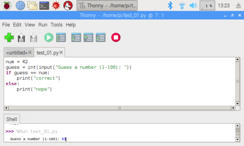 Default interface for writing Python in Thonny on a Raspberry Pi