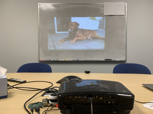 Video calling my dog from the conference room.