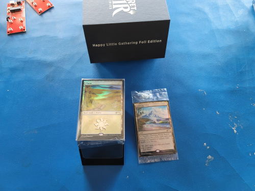Happy Little Gathering Magic Cards