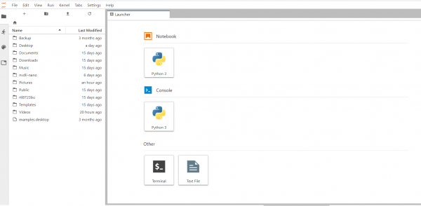 Screenshot showing Jupyter Notebook Launcher
