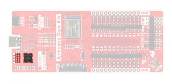 interface chip and JTAG pins