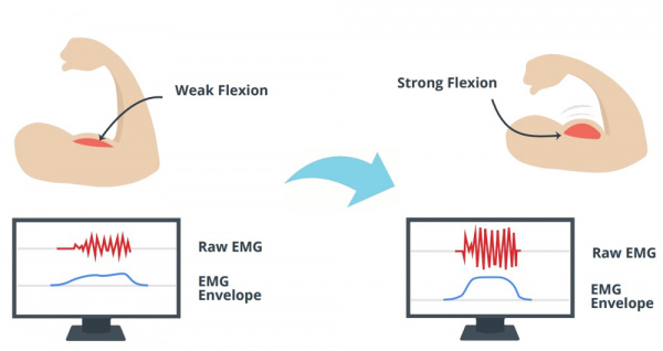 EMG Signal Raw and Envelope Flexed