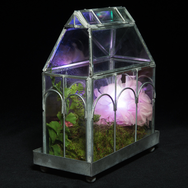 Humidity-sensing flower in terrarium