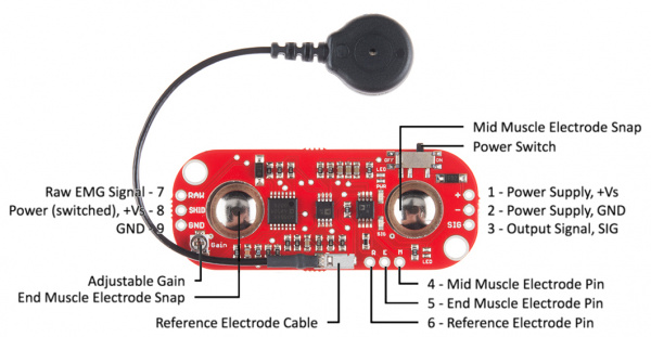 MyoWare sensor layout