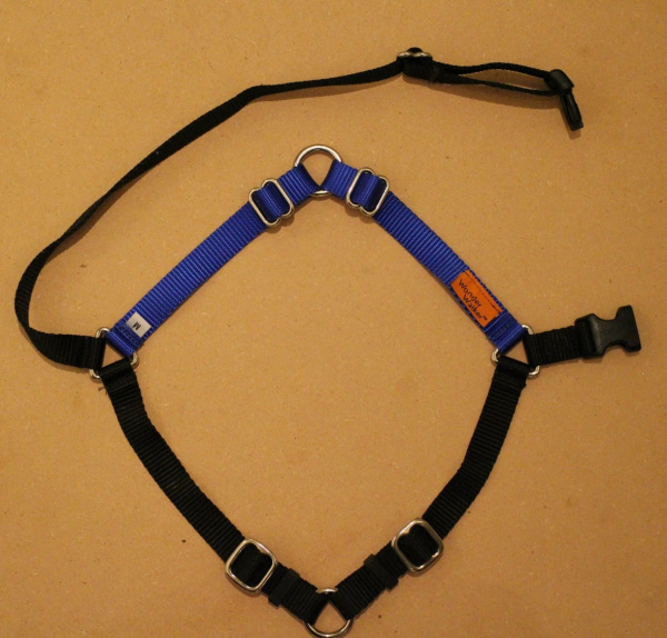 EL Wire Light-Up Dog Harness - learn.sparkfun.com