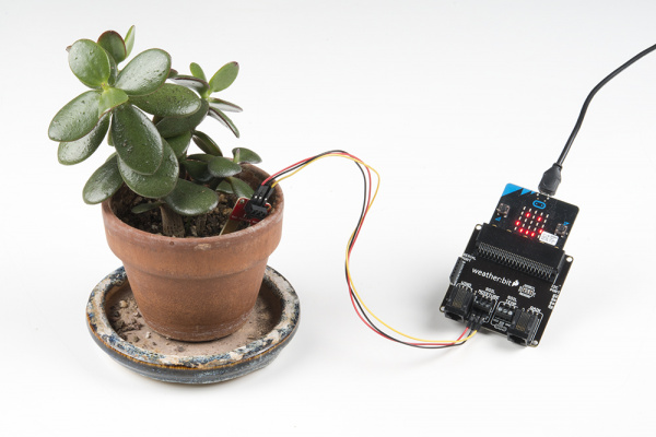 Exp3_FinalAssemblyPlant | moisture sensor in a plant and output 