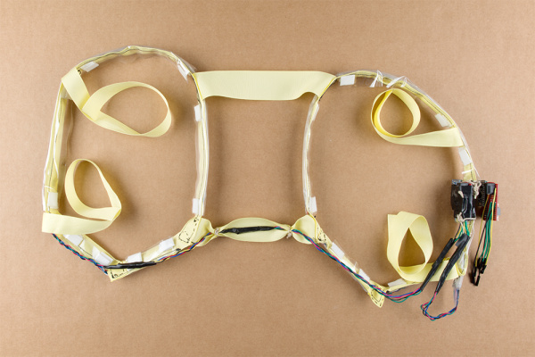 Harness with Motion Controller